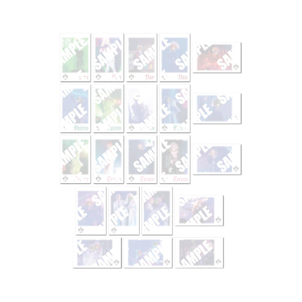 Knight A ランダムフォトカード(Glitter Spring ver.)